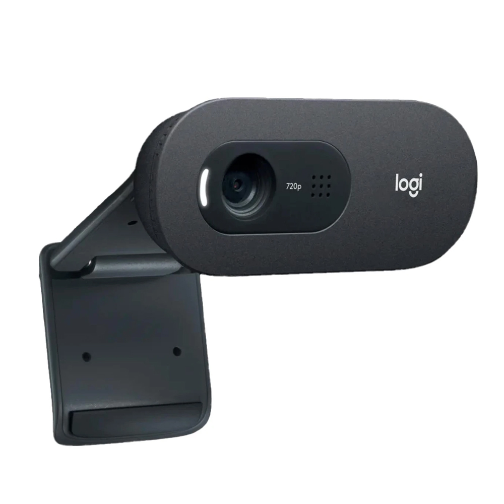 Cámara Web LOGITECH C505 960